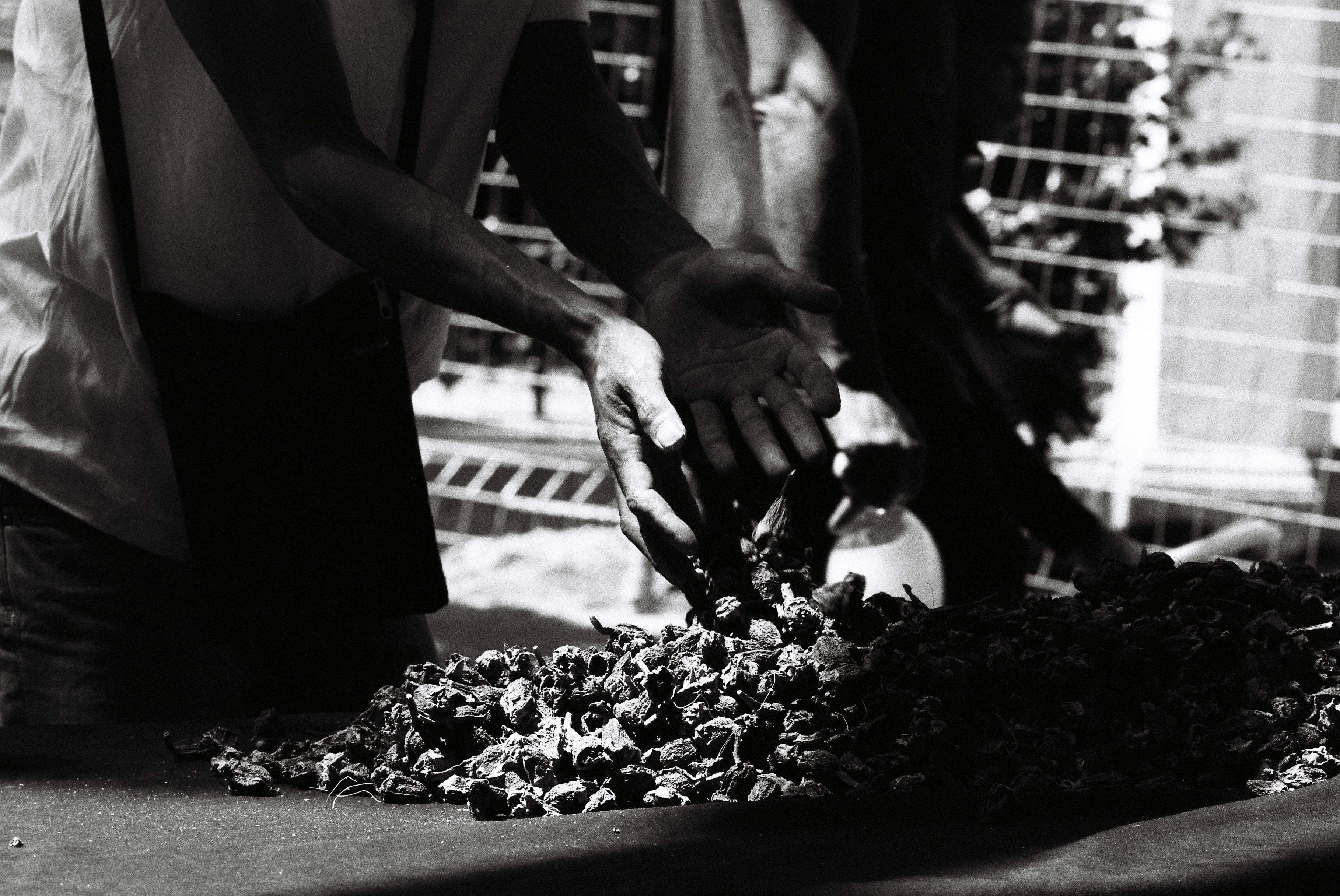hands in flowers on keerom street