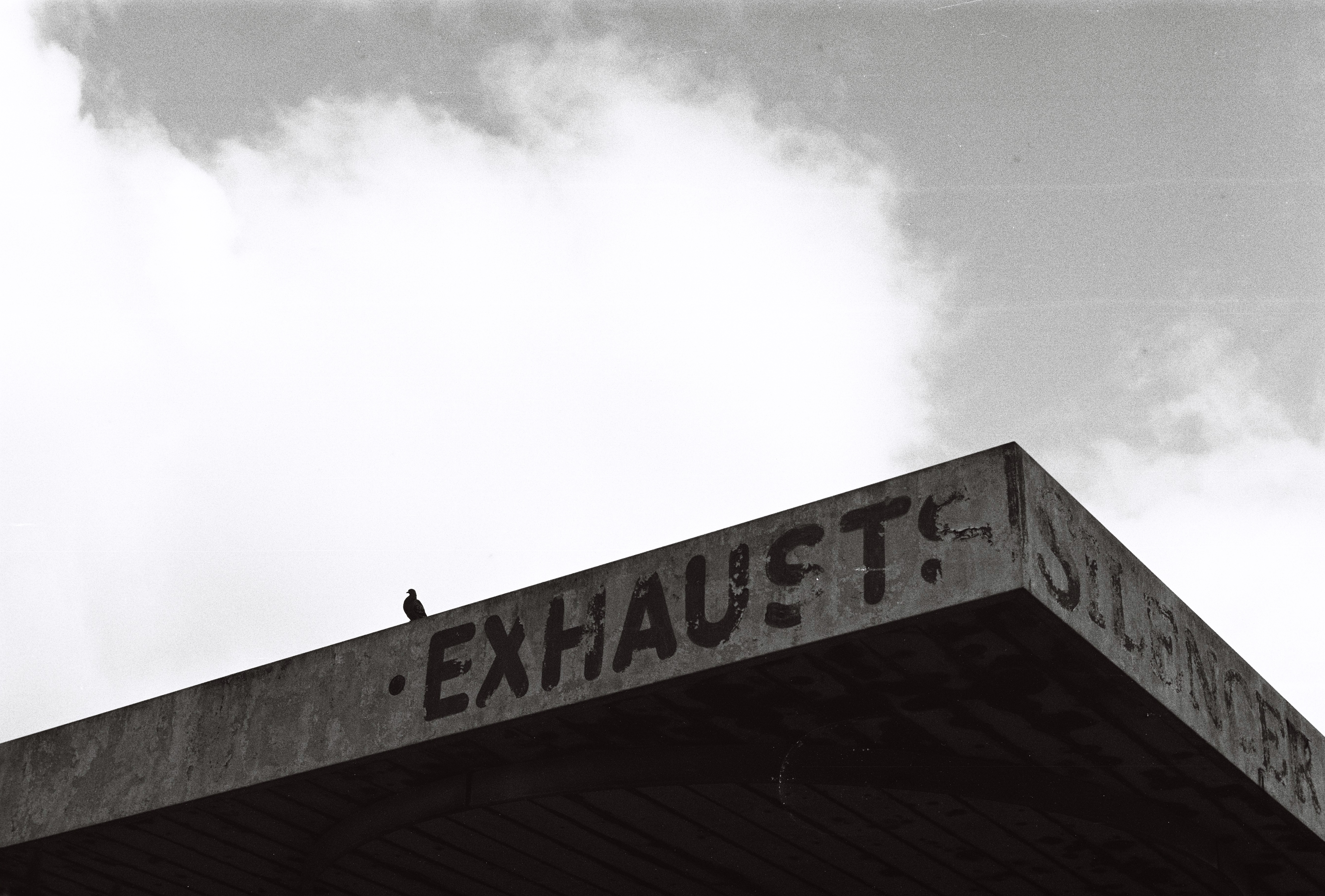 pigeon and exhaust signage