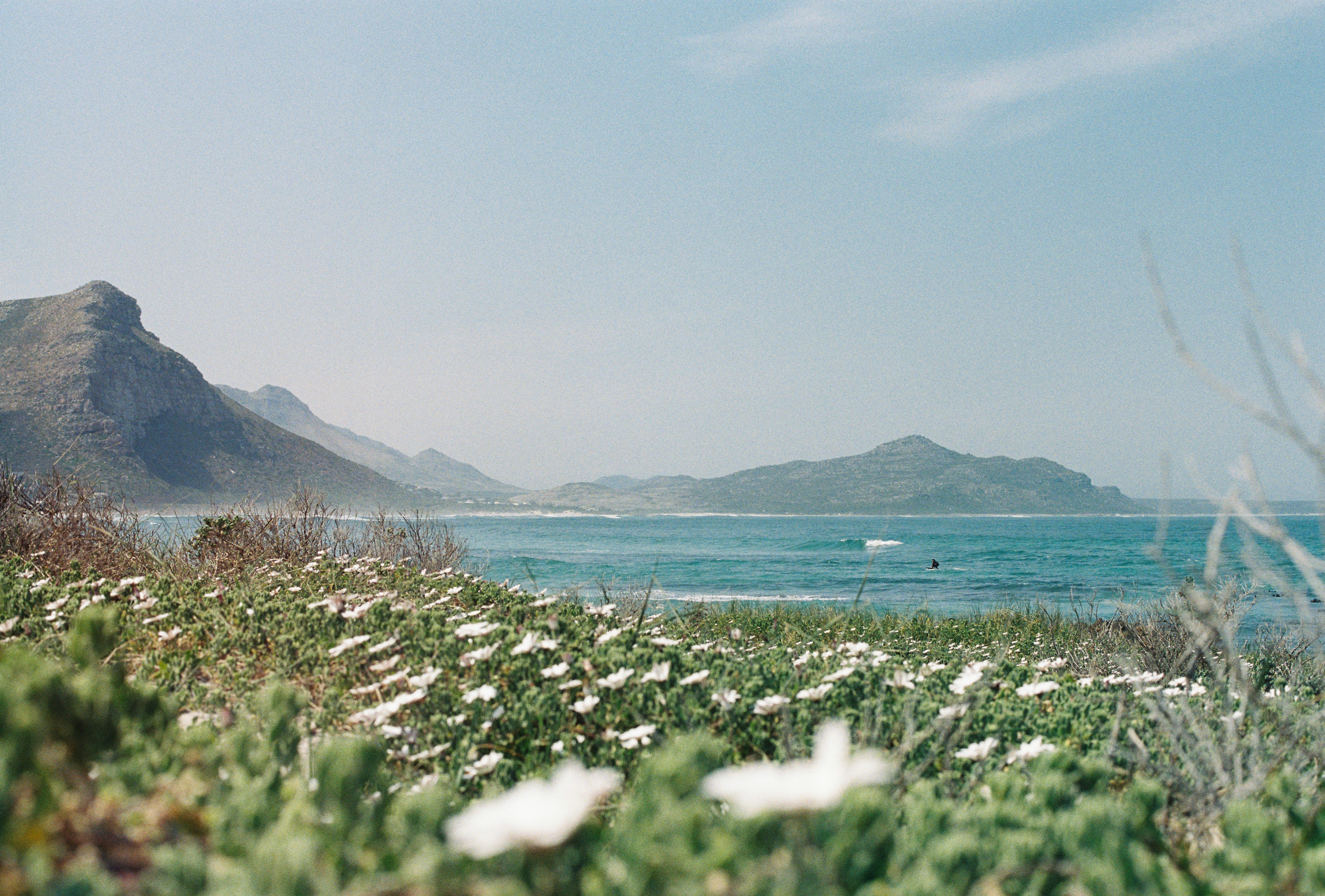 surfer at witsand, kommetjie